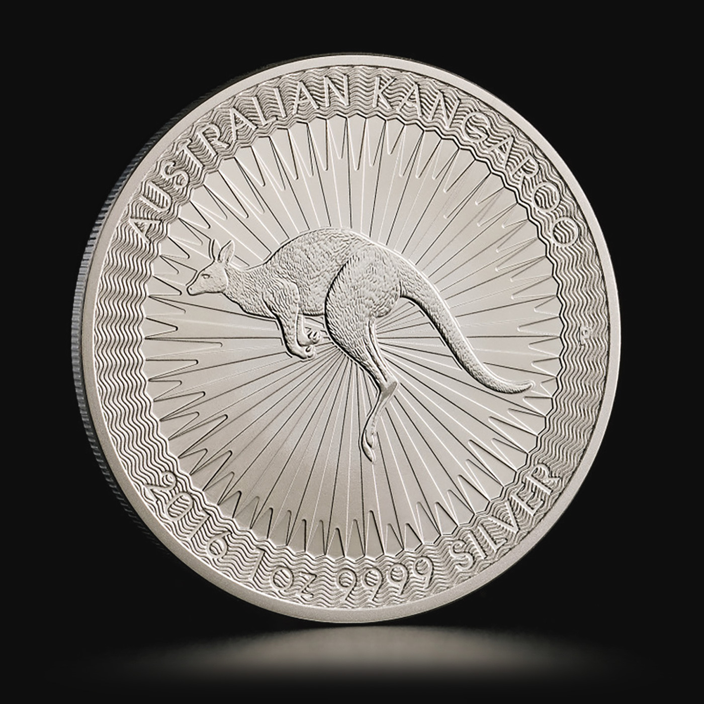 100ドル銀貨版 カナダのウナとライオン 10オンス銀貨 シルバー