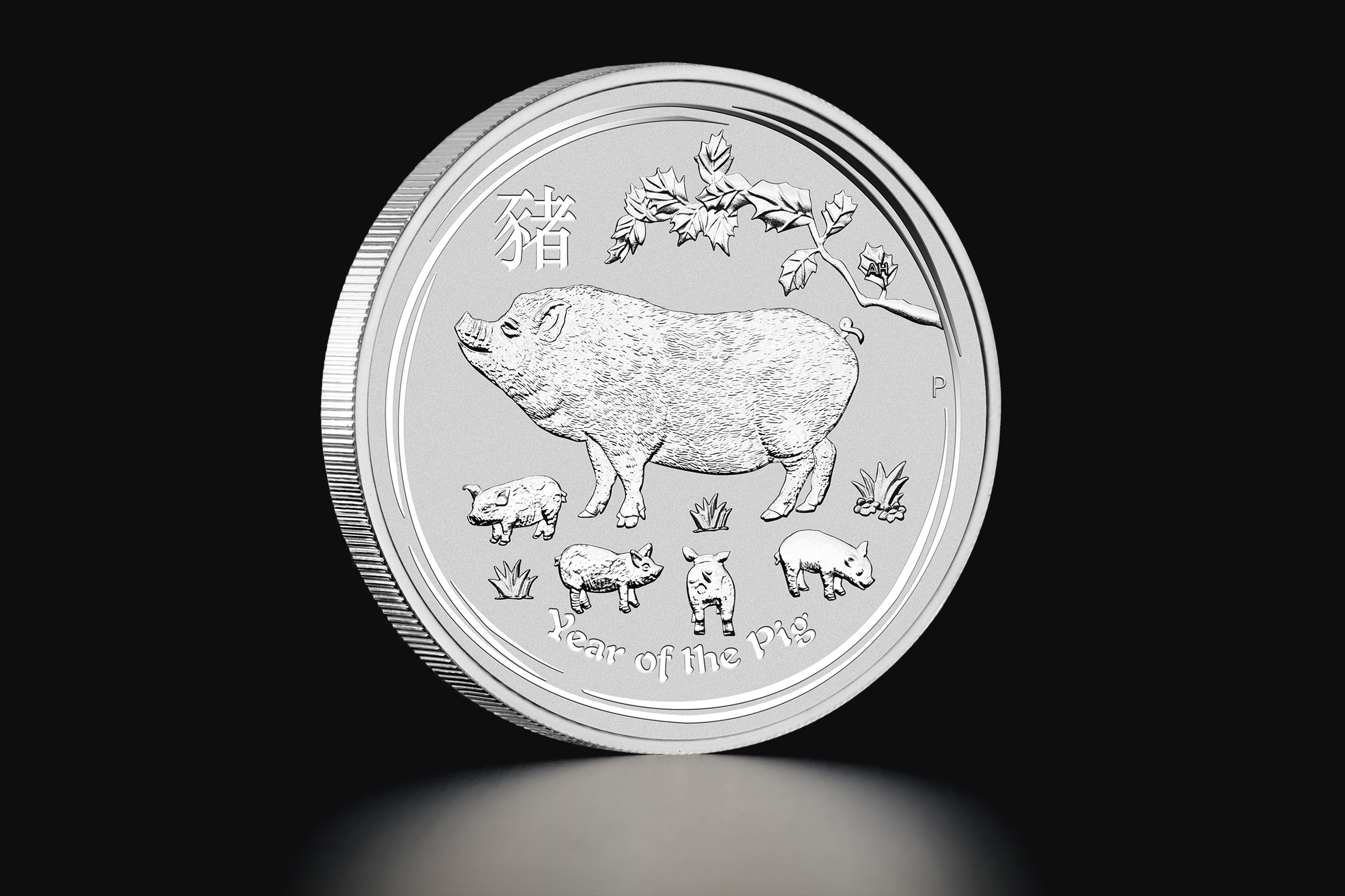 1 oz Australian Lunar Year of the Pig 2019 silver coin